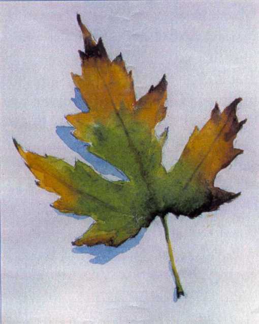 Leaf