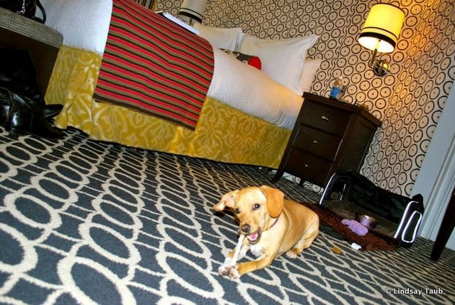 HollyKimpton