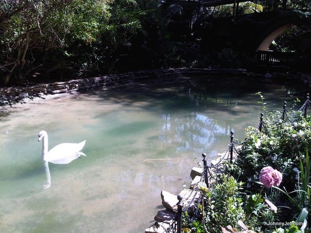Hotel Bel-Air Swan Lake