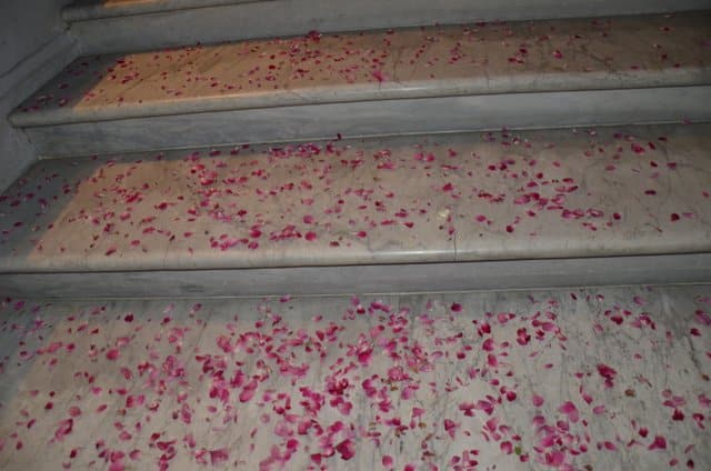 Rose petals scattered on the marble staircase add to the magic