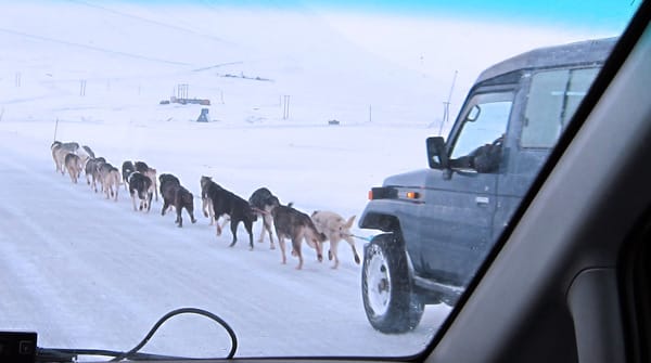 Who Needs an Engine When You Have Huskies to Pull Your Landcruiser?