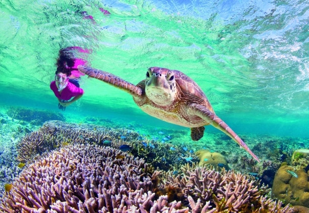 ‘What I Would do in Five Days in Queensland’ Contest