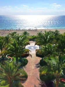 Canyon Ranch's palm lined gardens lead to the ocean