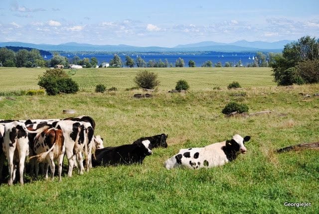 Chazy, New York, along The Adirondack Wine Trail