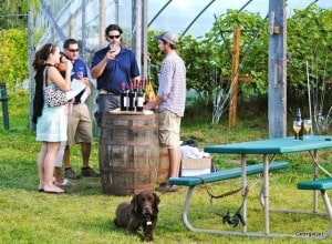 Sean Frey of Elf's doing a red wine tasting