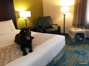 La Quinta rocks!