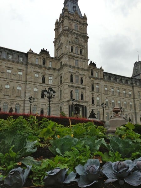 Parliament building and cabbages