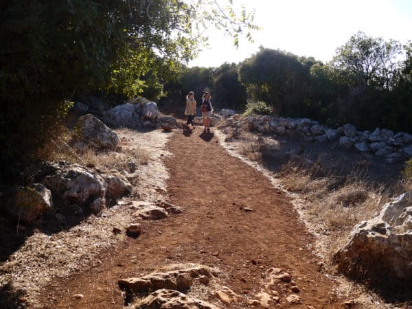 Hiking on Mount Carmel