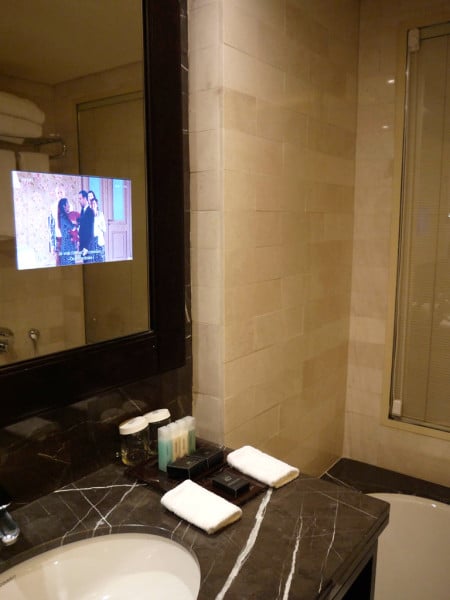 Dan Carmel Haifa bathroom: TV and tiling
