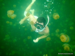 G jellyfish lake