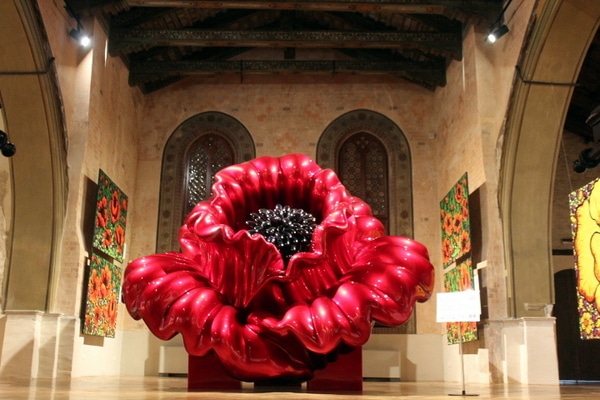 Ana Tsarev Exhibit