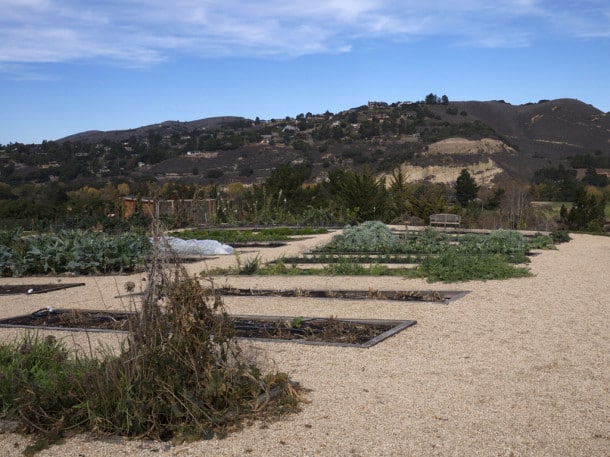 Organic garden at Carmel Valley Ranch (Credit: Jen Melo)