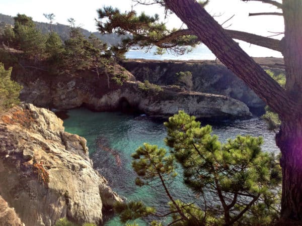 China Cove in Point Lobos Nature Reserve. Photo by Jen Melo