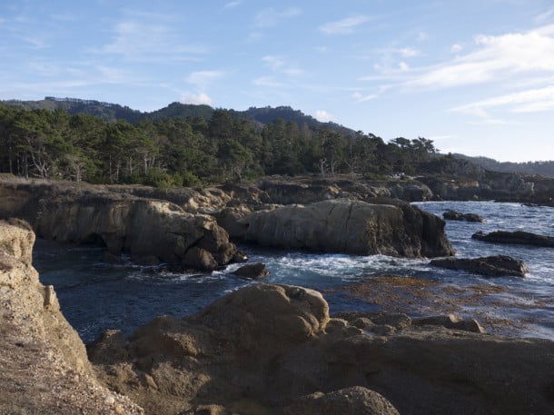 Point Lobos State Nature Reserve (Credit: Jen Melo)