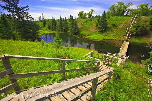Spruce Woods Provincial Park (Credit: Travel Manitoba)