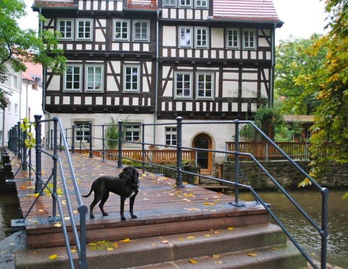 Timbered houses in Erfurt