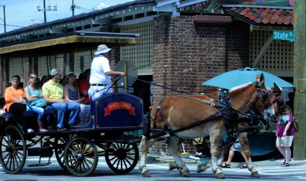 Wagon ride through Old Charleston (Credit: Bill Rockwell)