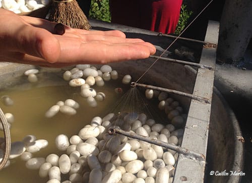 I watched as silk fibers from silkworm cocoons were turned into a single strand