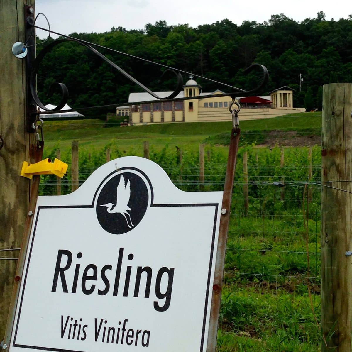 Heron Hill Winery