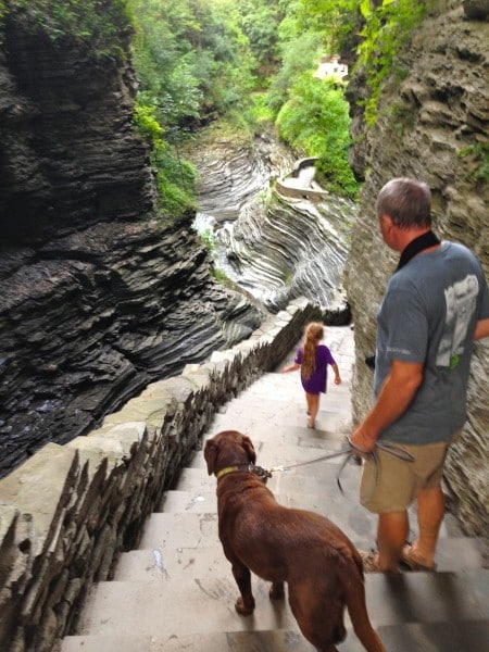 Cam, Baci and Watkins Glen State Park