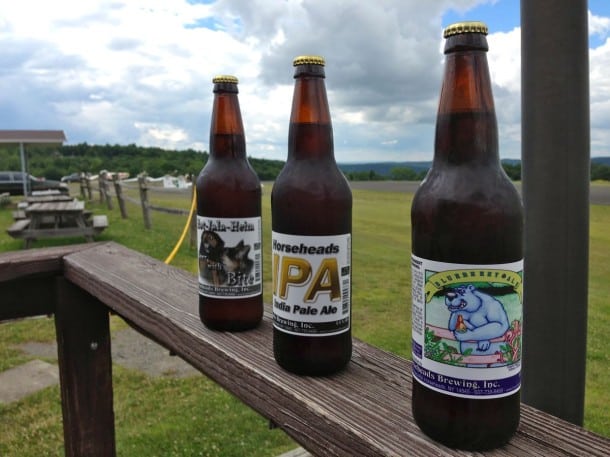Horseheads Brewery picnic