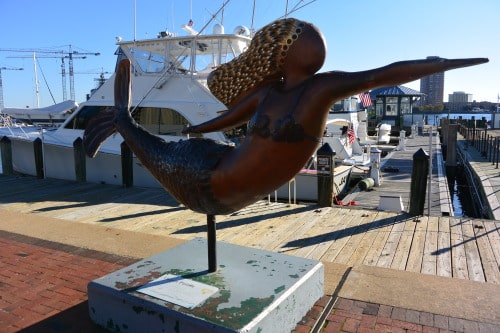 Mermaid spotted along the Elizabeth River