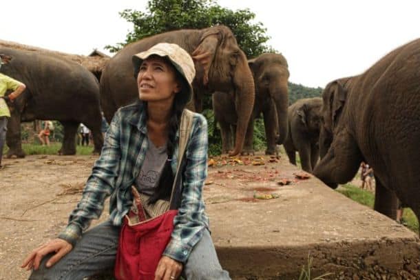 Founder Lek Chailert of the Elephant Nature Park in Chiang Mai