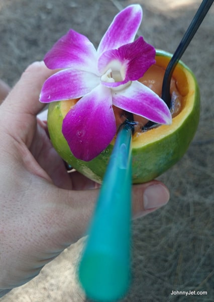 Turtle Bay Resort papaya smoothies
