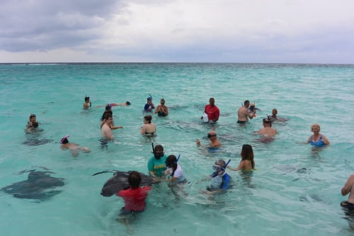 Stingray sandbar