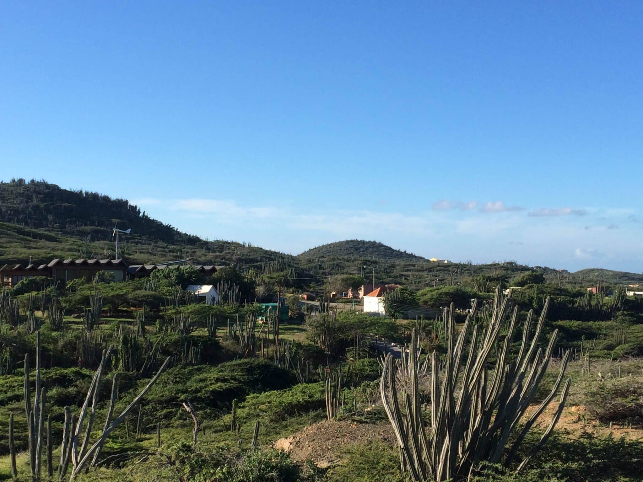 Aruba