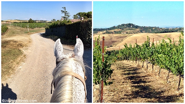 Horseback riding at Castelfalfi