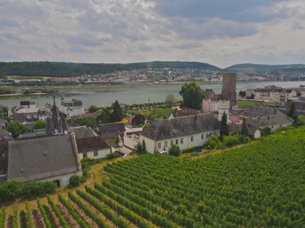 Rüdesheim am Rhein, from Niederwalddenkmal