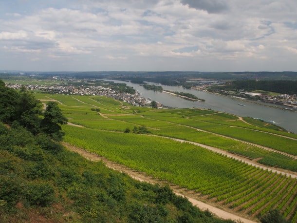 Rüdesheim am Rhein, from Niederwalddenkmal