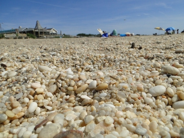 Cape May Diamonds can be found on Sunset Beach