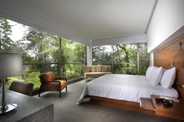 Hotel room windows outdoing flat-screen televisions at Mashpi Lodge