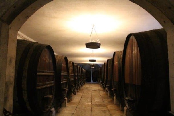 Jose Maria Da Fonseca Winery 