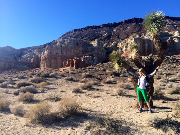 Love me some Joshua trees!