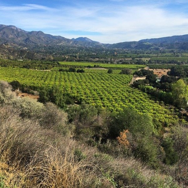 Shelf Road hike views of Ojai Valley