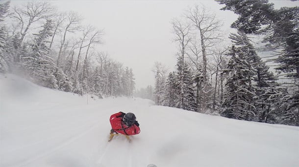The amazing two-hour guided luge ride