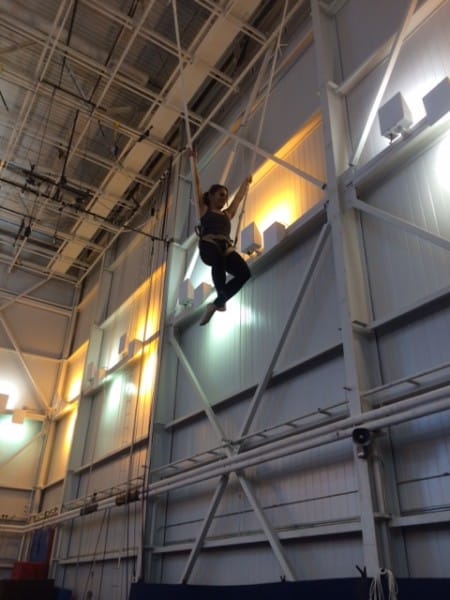 Bungee trapeze