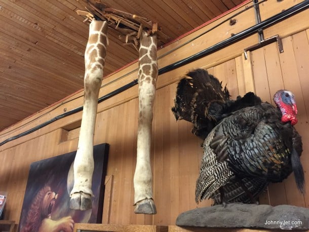 Warner Bros VIP Studio Tour Prop Department - giraffe legs from Hangover 3