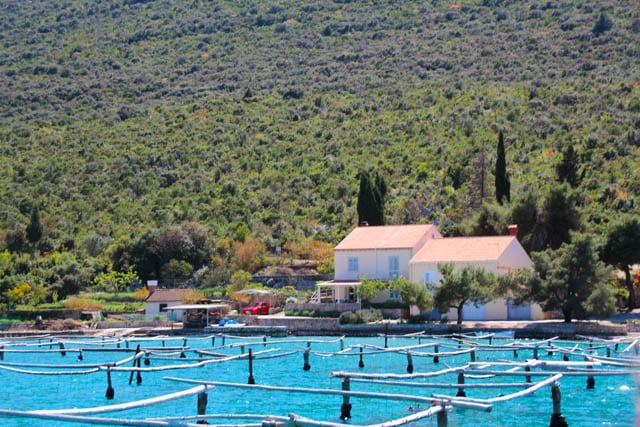 Oyster beds in Ston, Croatia