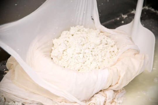 Placing the fresh curd in cheese cloth (Credit: Achadimia Cheese)