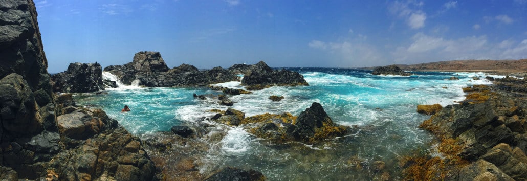 The Natural Pool