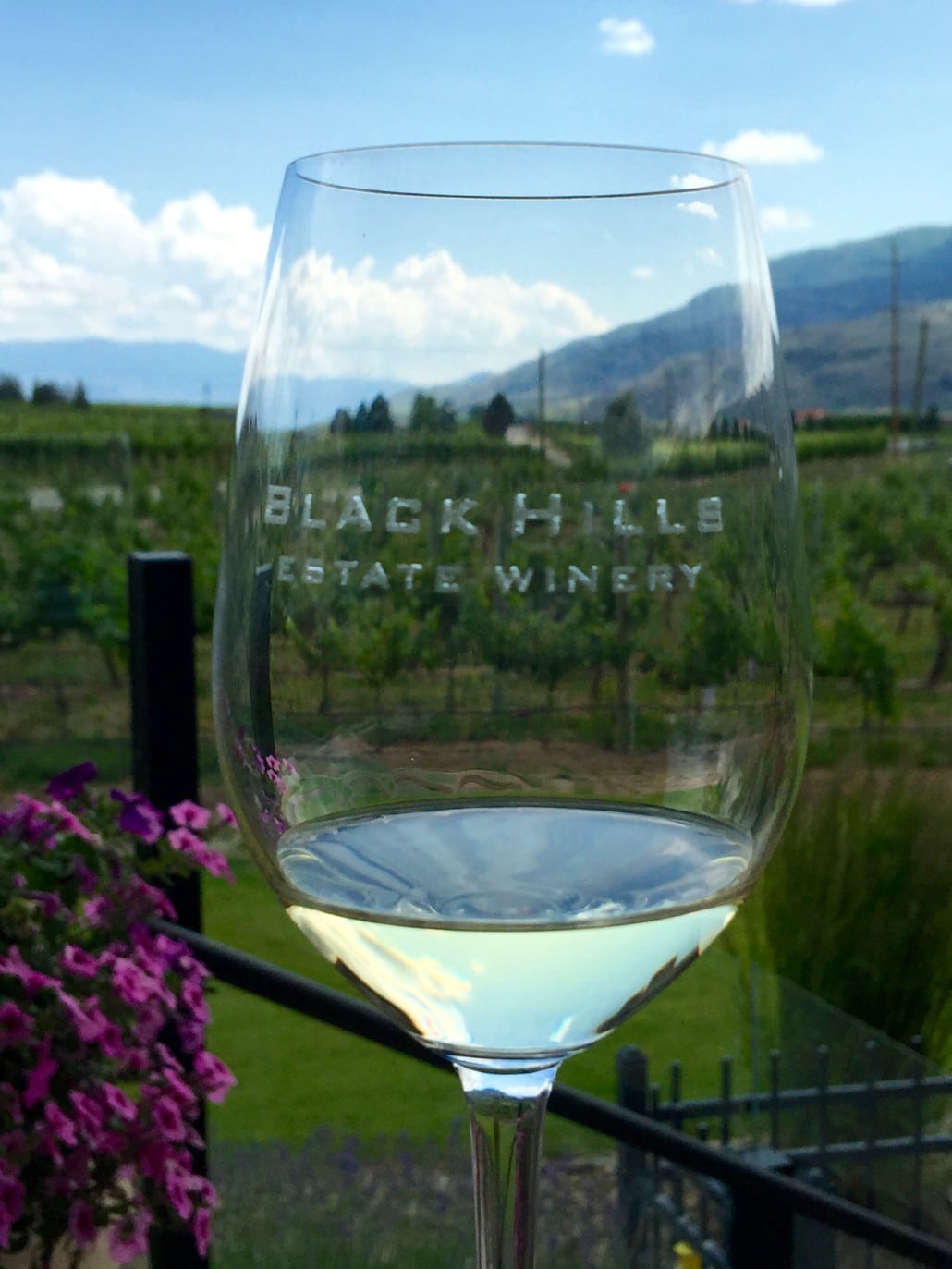 Black Hills Estate wine-tasting