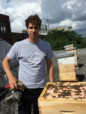 Beekeeper Alex of Alvéole