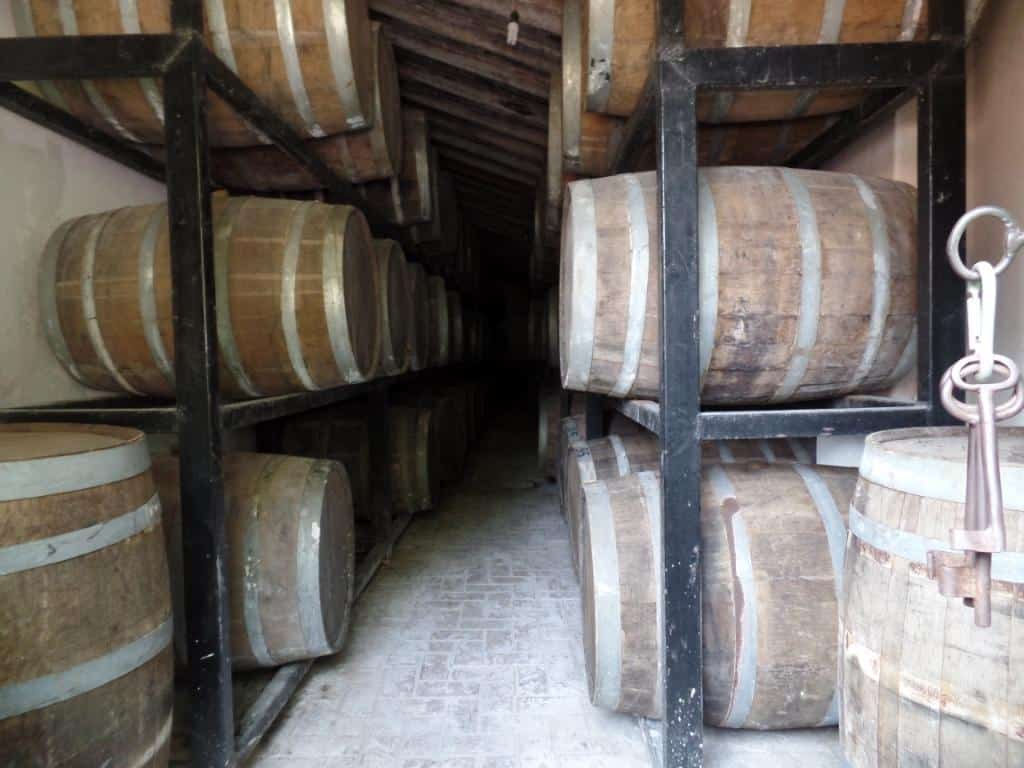 Aging barrels of "tequila"