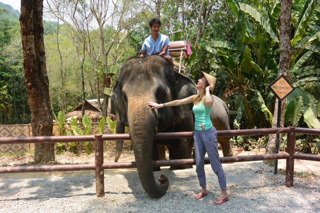 Elephant bonding after the ride