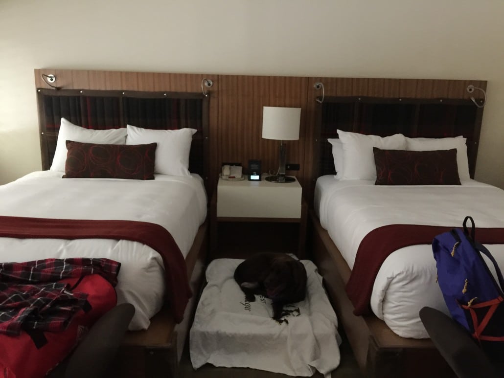 Baci's room at Topnotch