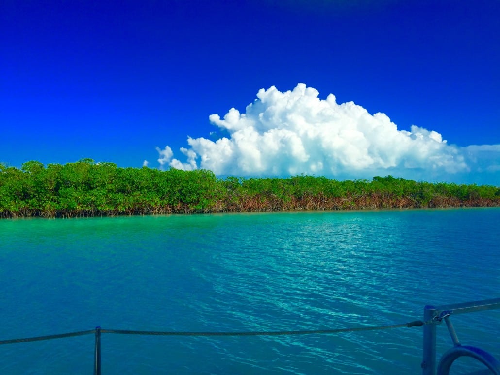 Gorgeous day from the sailboat